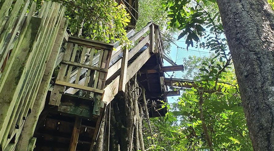 Falealupo Canopy Walkway, Falealupo, Savai’i, Samoa